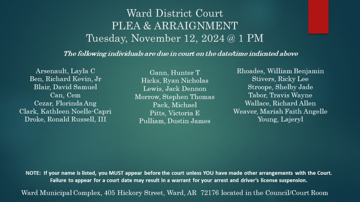 Plea and Arraignment - Nov 12, 1 pm